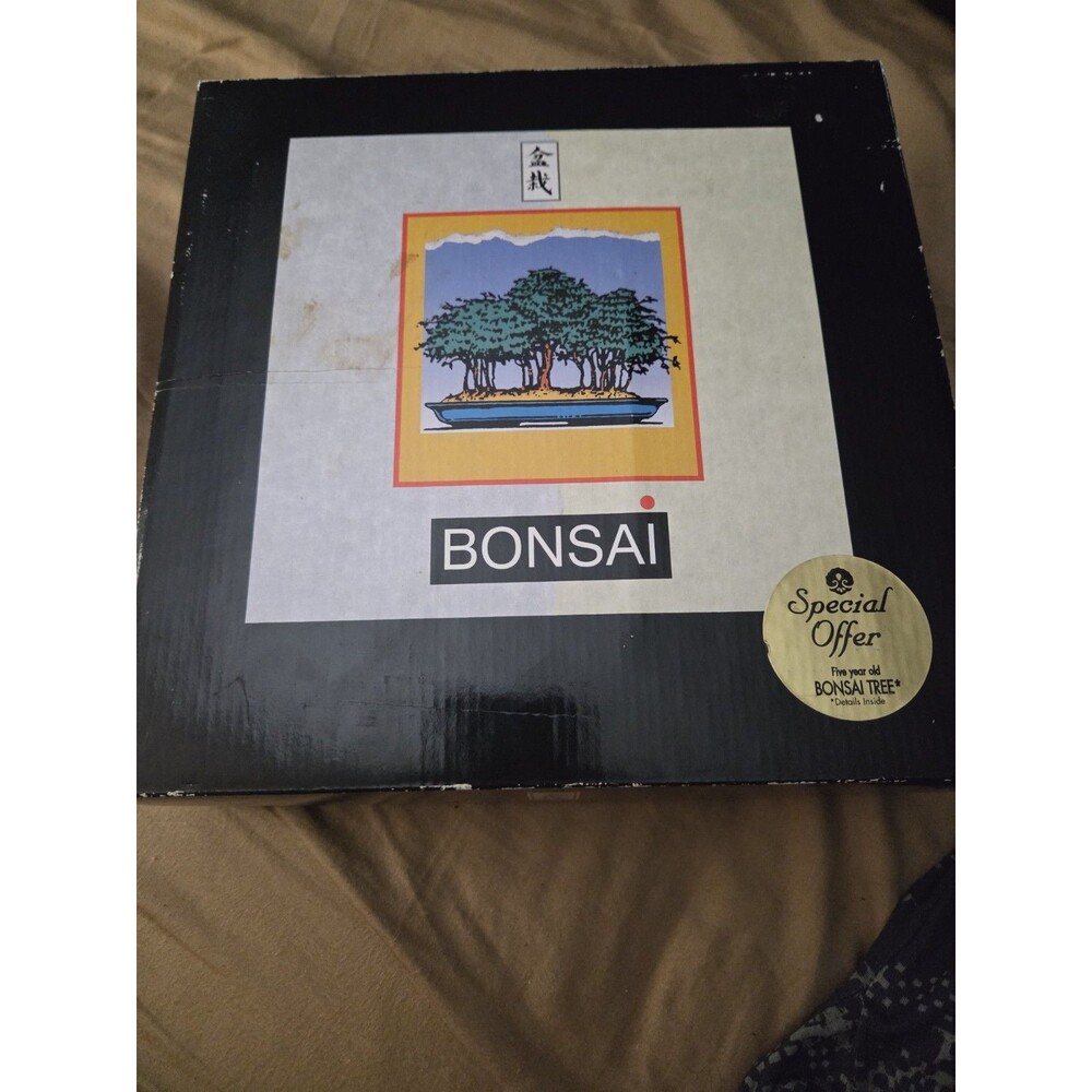 Vintage 1998 Giftsmith Japanese Black Pine Bonsai Tree Starter Kit Glazed Pot